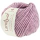 Lana Grossa LANDLUST WINTERWOLLE | 28-rosa puntinato