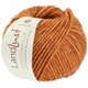 Lana Grossa LANDLUST WINTERWOLLE | 30-ruggine puntinato