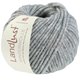 Lana Grossa LANDLUST WINTERWOLLE | 32-grigio blu puntinato