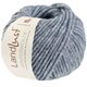Lana Grossa LANDLUST WINTERWOLLE | 35-blu chiaro puntinato