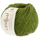 Lana Grossa LANDLUST WINTERWOLLE | 36-mela verde puntinato