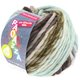 Lana Grossa LEI Mouliné/Color Mix/Spray (Ragazza) | 162-ecru/grigio marrone/antracite
