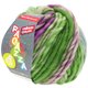 Lana Grossa LEI Tweed Color (Ragazza) | 402-grigio blu/verde/viola rosso puntinato