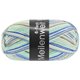 Lana Grossa MEILENWEIT 6-FACH 150g Fun | 9566-argento/blu chiaro/inchiostro/blu colomba/grigio scuro