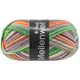 Lana Grossa MEILENWEIT 6-FACH 150g Asia | 9651-