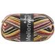 Lana Grossa MEILENWEIT 6-FACH 150g Asia | 9652-