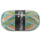 Lana Grossa MEILENWEIT 6-FACH 150g Cosima | 9718-