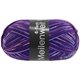 Lana Grossa MEILENWEIT 6-FACH 150g Punto | 9648-