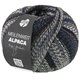 Lana Grossa MEILENWEIT 100g Alpaca Mix | 2306-