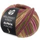Lana Grossa MEILENWEIT 100g Alpaca Poncho | 2728-