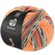 Lana Grossa MEILENWEIT 100g Cashmere Pista | 141-arancio/grigio chiaro/grigio scuro/arancio marrone/verde chiaro/erica/mora/grigio marrone a strisce