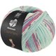 Lana Grossa MEILENWEIT 100g Cashmere Pista | 142-menta/turchese /bianco/grigio/blu chiaro/fucsia a strisce