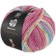 Lana Grossa MEILENWEIT 100g Cashmere Pista | 146-fucsia scuro/bianco/ocra/turchese /blu chiaro a strisce