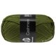 Lana Grossa MEILENWEIT 50g Cashmere | 77-verde muschio