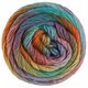 Lana Grossa MEILENWEIT 100g Color Mix Multi | 8020-