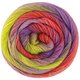 Lana Grossa MEILENWEIT 100g Color Mix Multi | 8021-