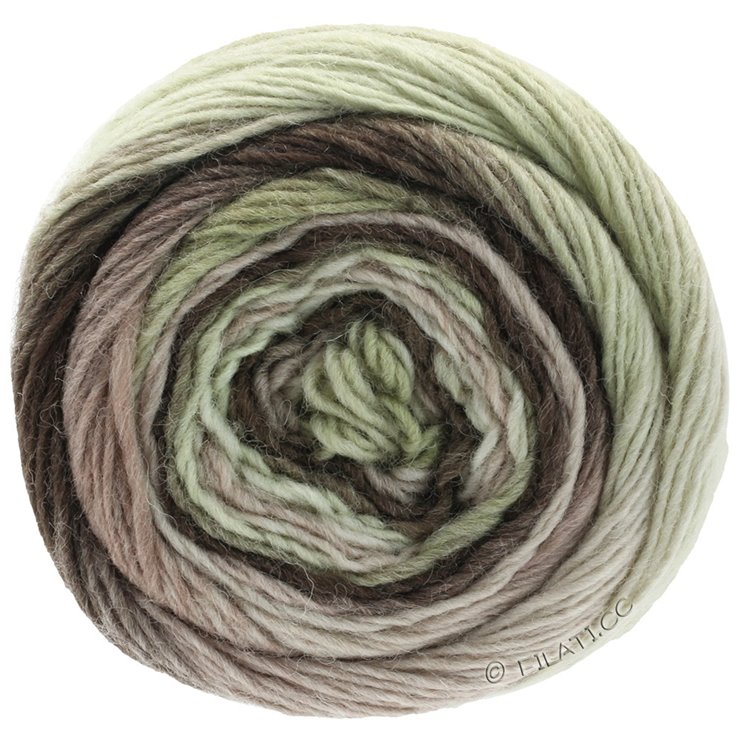 Lana Grossa MEILENWEIT 100g Color Mix Soft | 8051-