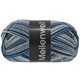 Lana Grossa MEILENWEIT 100g Blue Denim Mix | 4606-grigio argento/grigio chiaro/grigio scuro/grigio blu/blu notte/jeans
