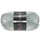 Lana Grossa MEILENWEIT 50g Eleganza | 6701-grigio argento/grigio chiaro