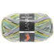 Lana Grossa MEILENWEIT 100g Fantasy | 4884-