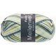 Lana Grossa MEILENWEIT 100g Fondo | 7878-
