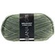 Lana Grossa MEILENWEIT 100g Fumo | 1207-