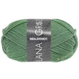 Lana Grossa MEILENWEIT 50g | 1377-verde grigio