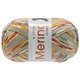 Lana Grossa MEILENWEIT 100g Merino Extrafine Appiano | 2553-