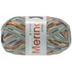 Lana Grossa MEILENWEIT 100g Merino Extrafine Appiano | 2562-