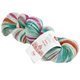 Lana Grossa MEILENWEIT 100g Merino Hand-dyed Rainbow | 7008-Bajaj