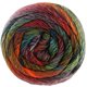 Lana Grossa MEILENWEIT 100g Rainbow | 6410-ruggine/grafite/rosso scuro/verde grigio/verde foglia/verde foresta/arancio/bordó/caramello/rosso