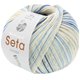 Lana Grossa MEILENWEIT 100g Seta Chiara | 3435-