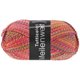 Lana Grossa MEILENWEIT 100g Tutticolori | 6966-