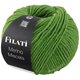 FILATI MERINO MISCELA | 16-verde maggio