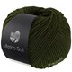 Lana Grossa MERINO SOFT | 16-verde muschio