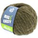 Lana Grossa MOLLE 100g (Big & Easy) | 14-cachi
