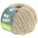 Lana Grossa MOLLE 100g (Big & Easy) | 17-beige