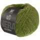 Lana Grossa NEBBIA (Nera) | 10-mela verde