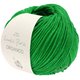 Lana Grossa ORGANICO (Linea Pura) | 163-verde erba