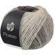Lana Grossa PICASSO | 14-bianco/grigio chiaro/grigio medio/grigio scuro