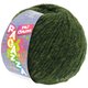 Lana Grossa PIU COLORI (Ragazza) | 02-verde scuro puntinato