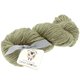Lana Grossa SLOW WOOL LINO | 23-verde fieno