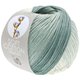 Lana Grossa SOFT COTTON Dégradé | 106-bianco/grigio chiaro/grigio ottanio