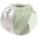Lana Grossa SOFT COTTON Dégradé | 114-bianco/grigio argento/grigio chiaro/grigio