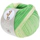 Lana Grossa SOFT COTTON Dégradé | 118-ecru/verde delicata/giada