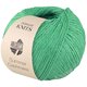 Lana Grossa SUMMER CASHMERE | 15-giada