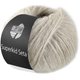 Lana Grossa SUPERKID SETA | 018-beige grigio