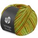 Lana Grossa VINTAGE SOCKS Multi | 1054-verde primavera/giada/senape/oliva/ocra
