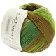 Lana Grossa WAKAME Uni/Print (Linea Pura) | 113-beige/marrone/verde chiaro/verde scuro