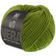 Lana Grossa WINTER SOFTNESS (Nera) | 27-verde